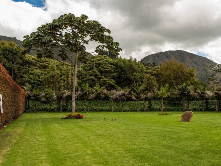 haciendas-trinity-salon-de-eventos-tipo-jardin-bogota- (8)