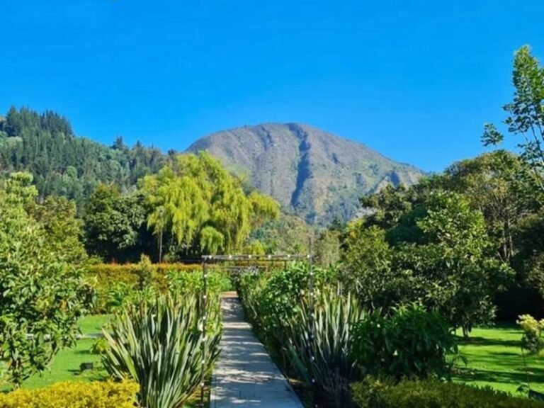 recepciones-rusticas-salon-el-bosque-trinity (2)