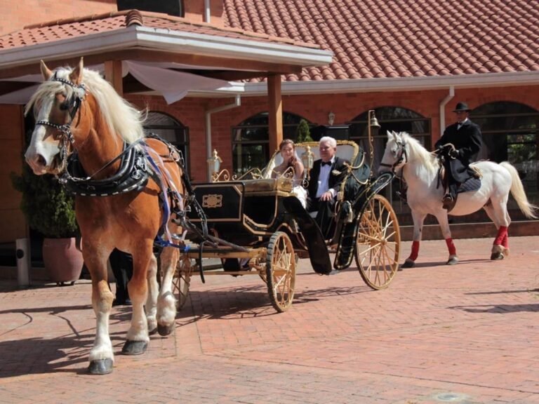Montaje de gala para bodas en el Salon Santa Elena en la sabana de Bogota